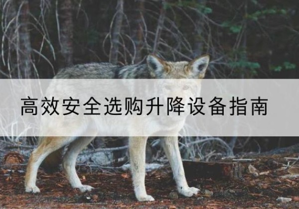 衡阳升降货梯厂家推荐-*安全选购升降设备指南