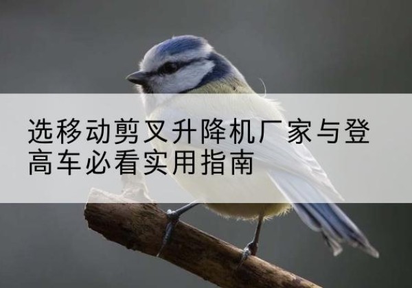 衡阳电动升降机厂家-选移动剪叉升降机厂家与登高车必看实用指南