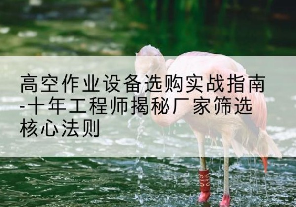 衡阳剪叉式升降机厂家-高空作业设备选购实战指南-十年工程师揭秘厂家筛选核心法则